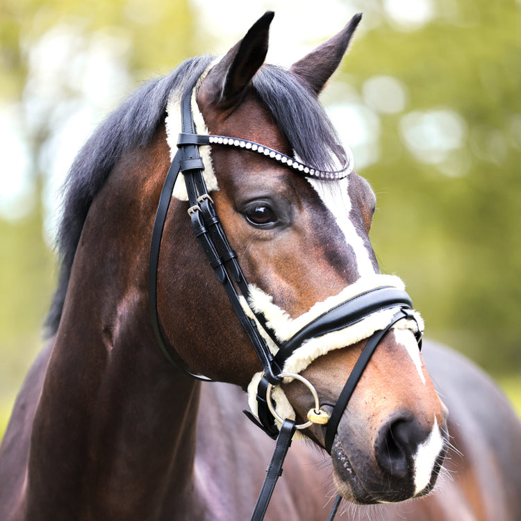 Bridle with sheepskin