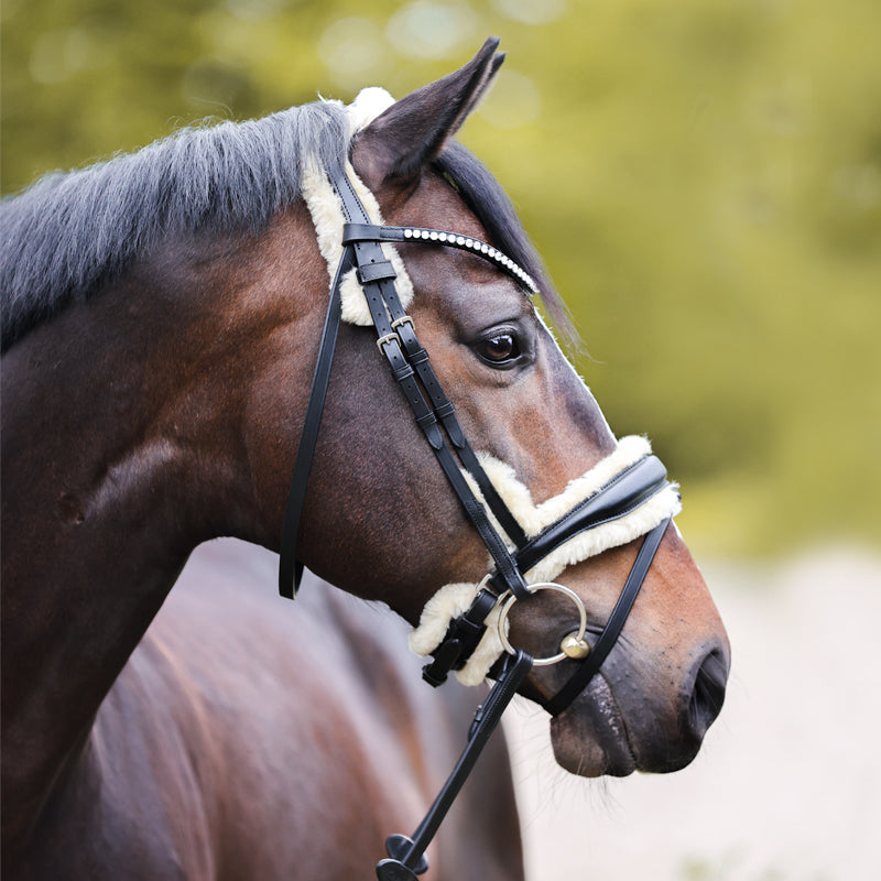 Kavalkade bridle joyce