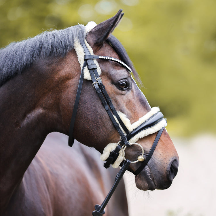 Kavalkade bridle joyce