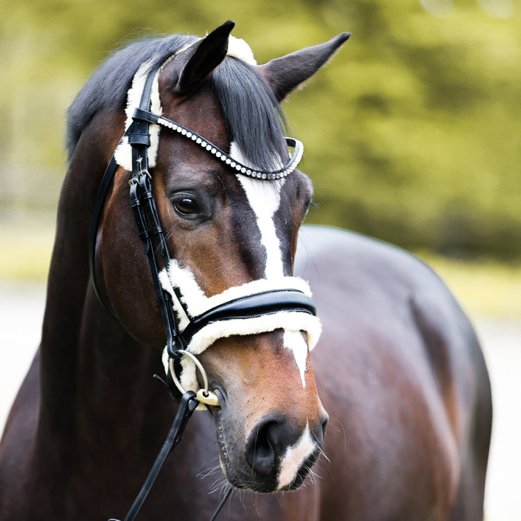 Anatomic bridle with sheepskin padding