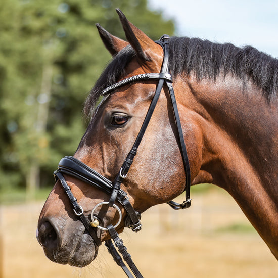 Bridle with integrated cheek pieces