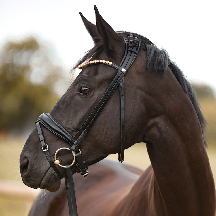 Elegancki Bridle