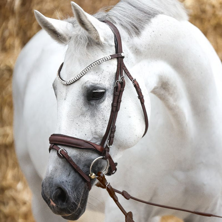 Anatomic leather bridle
