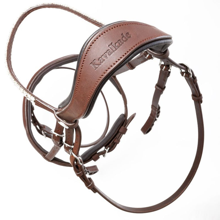 Kavalkade bridles