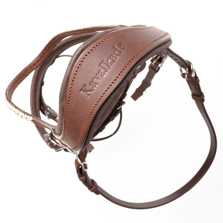 Kavalkade bridles