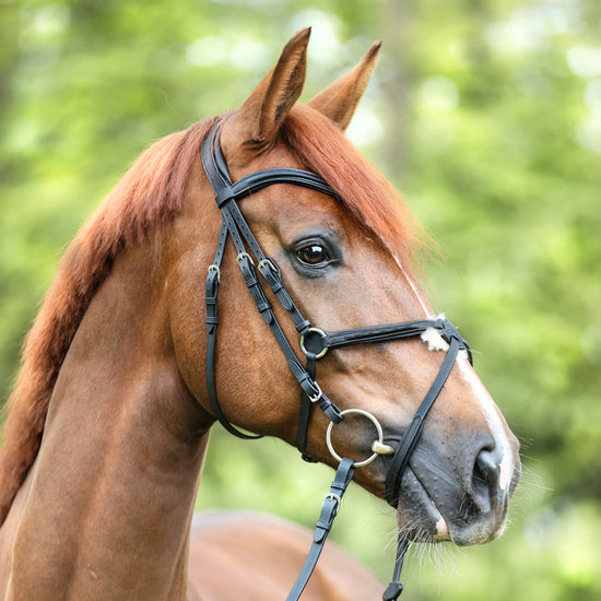 Figure 8 noseband bridle