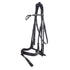 Convertible double bridle