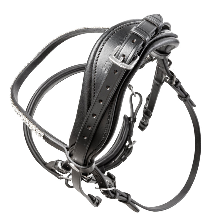 Sonya crank bridle review