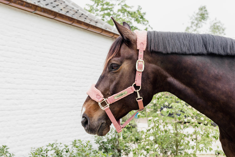 pink Kentucky halter