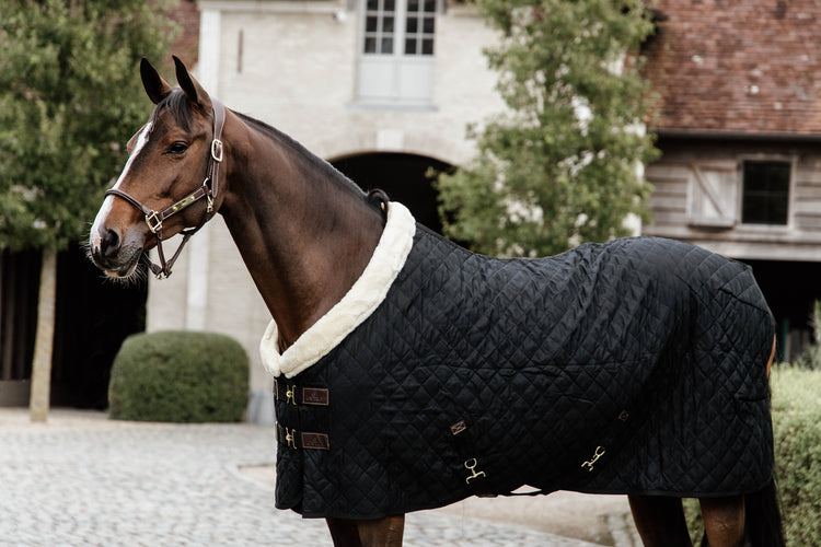 Kentucky most famous horse rug