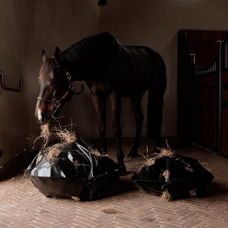 grooming deluxe stable products