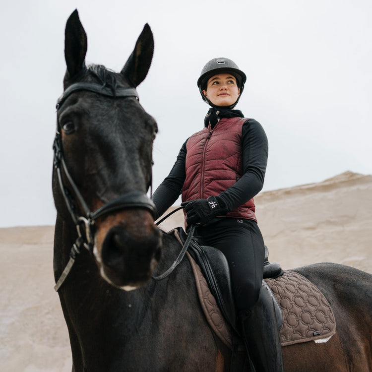Horse Pilot heated vest