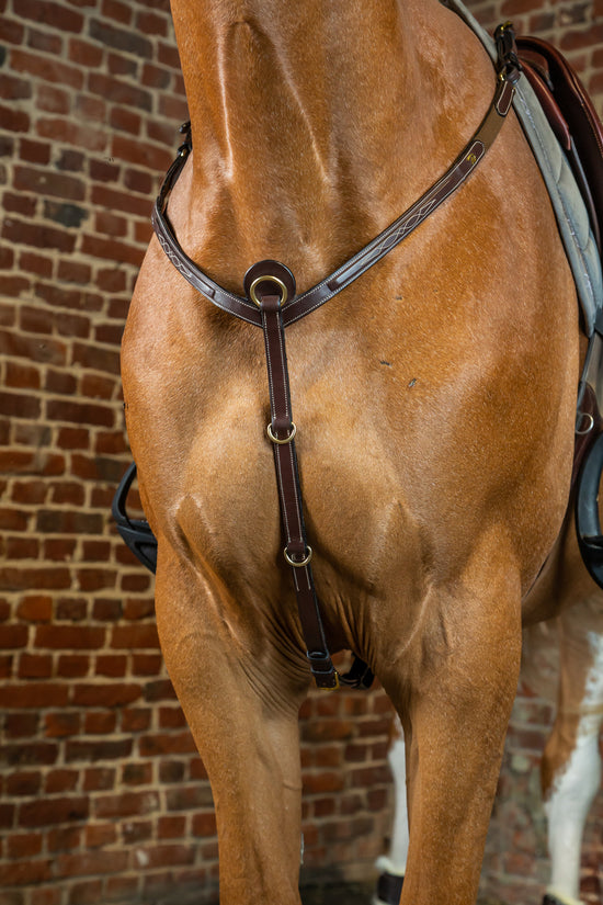 D Collection Breastplate