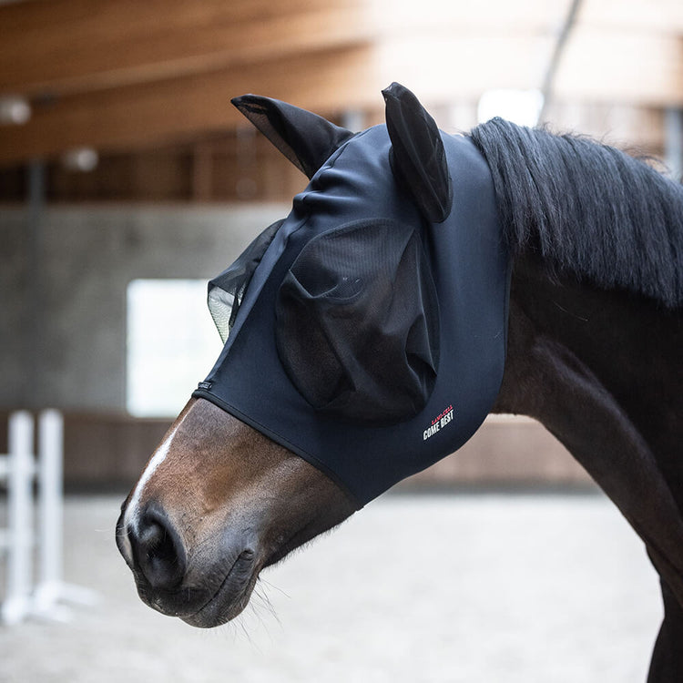 Titanium fly mask