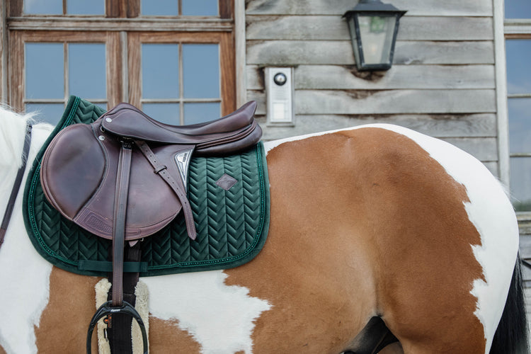 Dark Green Saddle Blanket