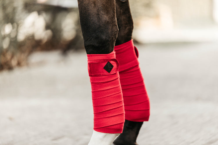 horse leg bandages red