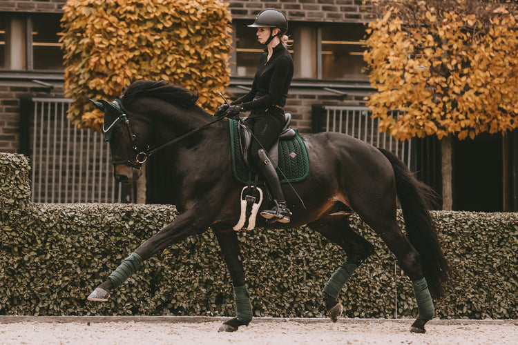 Dark Green matching set for horses