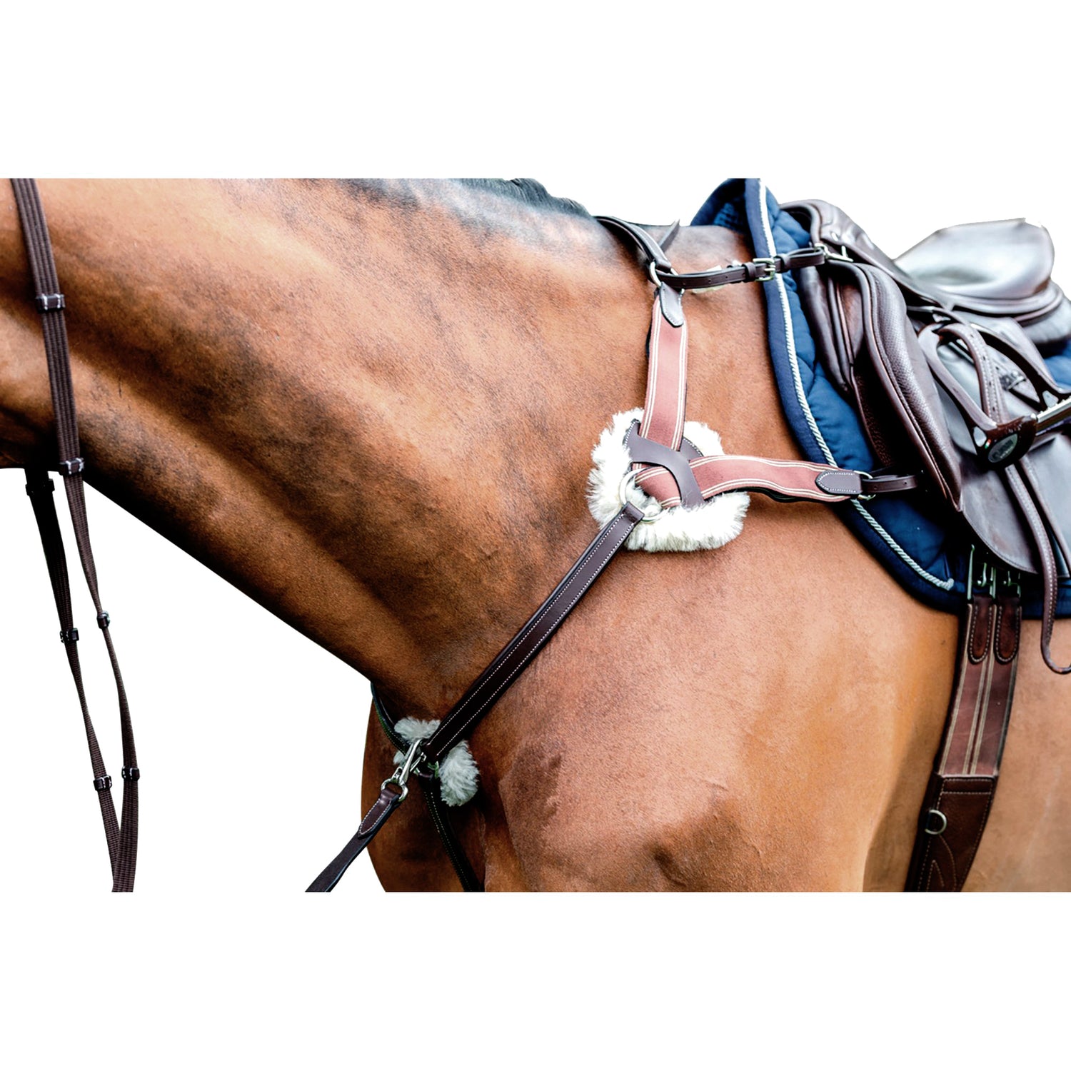 Best 5 point breastplate with sheepskin