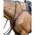 Breastplate from Prestige