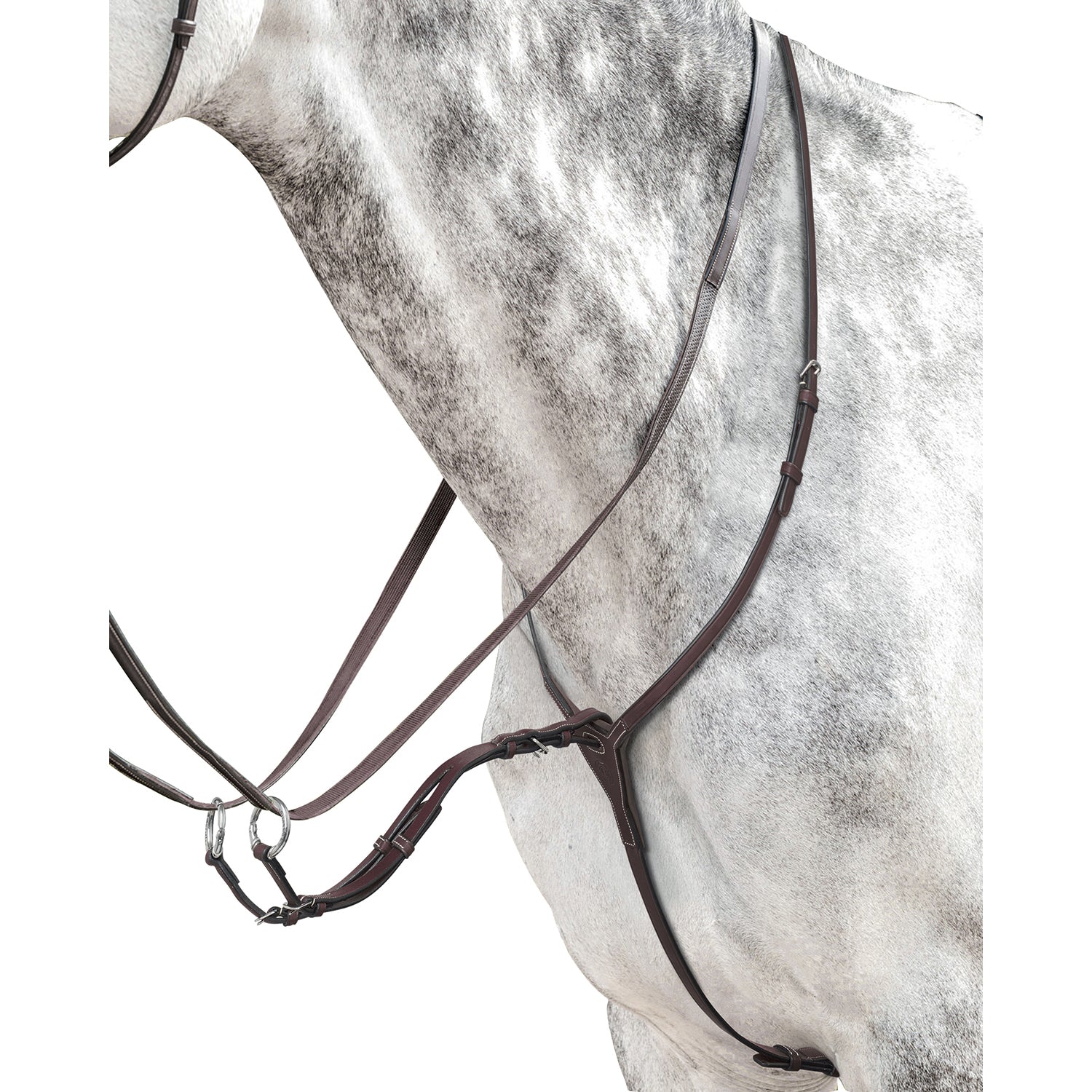 Quality martingale fot show jumping