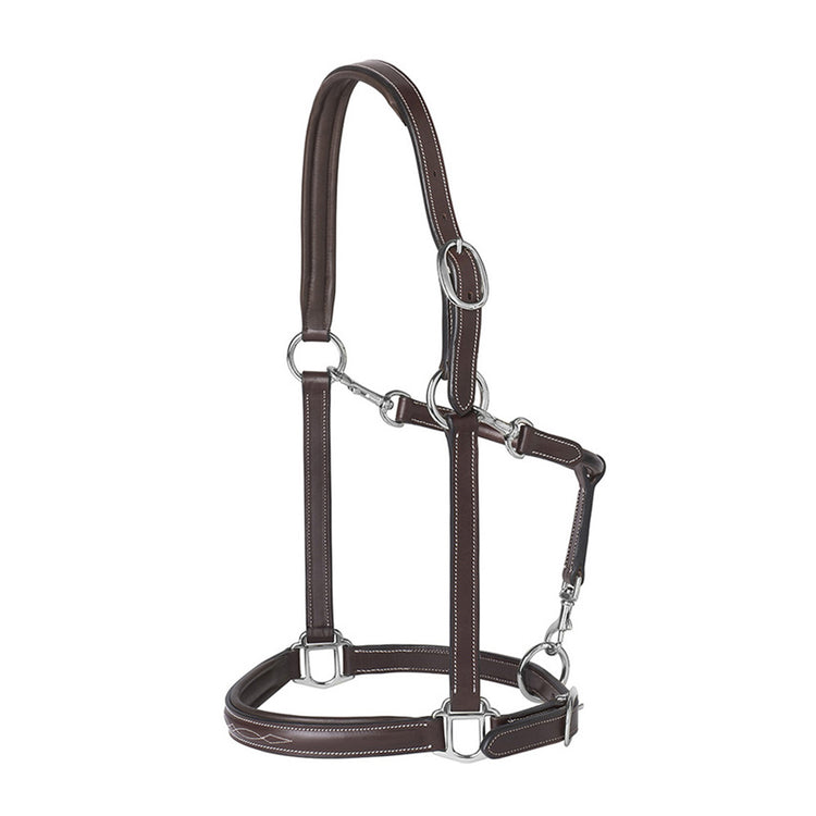 Leather halter with fancy stitch