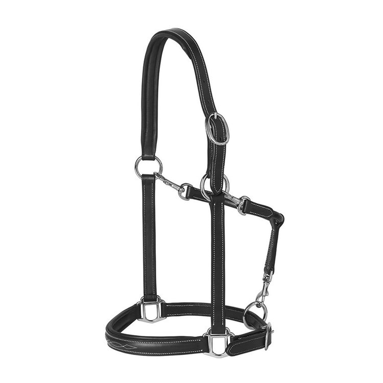 High quality leather head collar