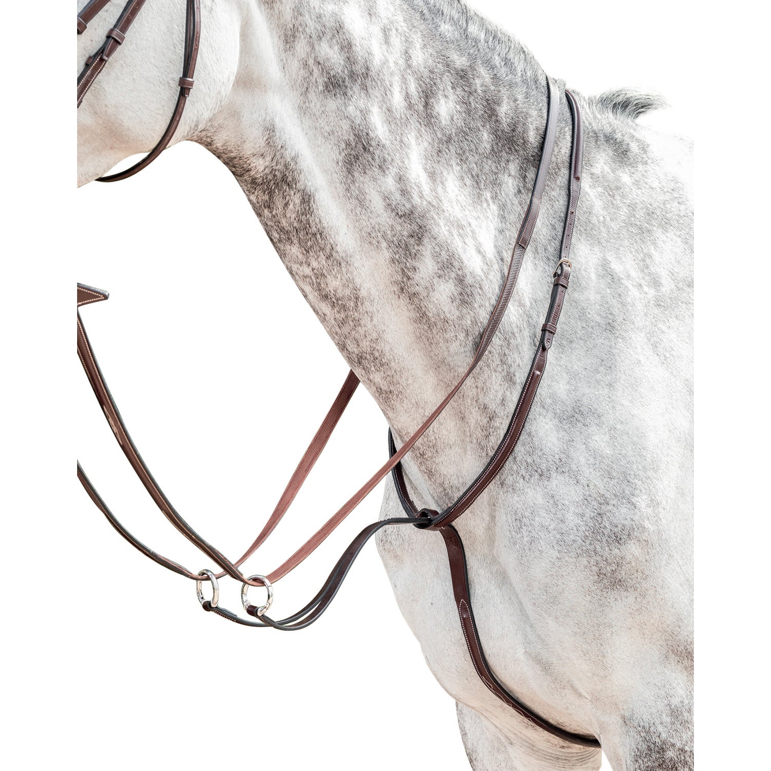 Prestige running martingale