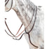 Prestige running martingale