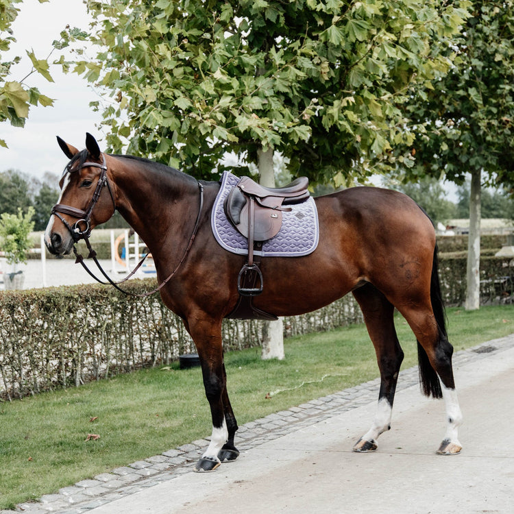 Kentucky Horsewear Velvet Set Purple