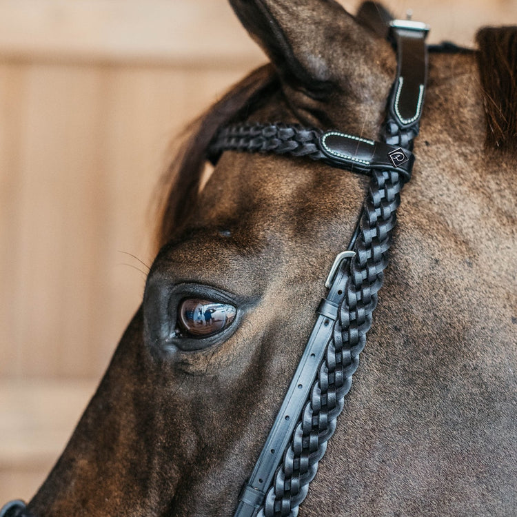 Horse training bridle