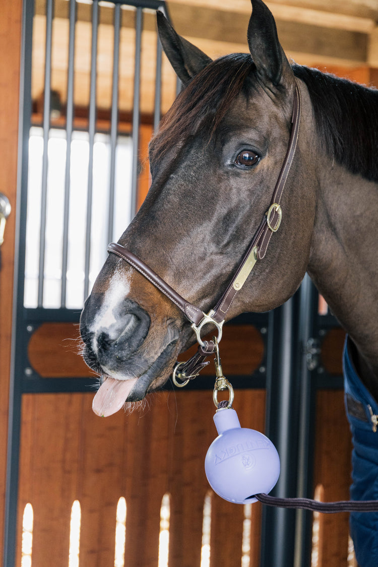Wall and cross tue ball from Kentucky
