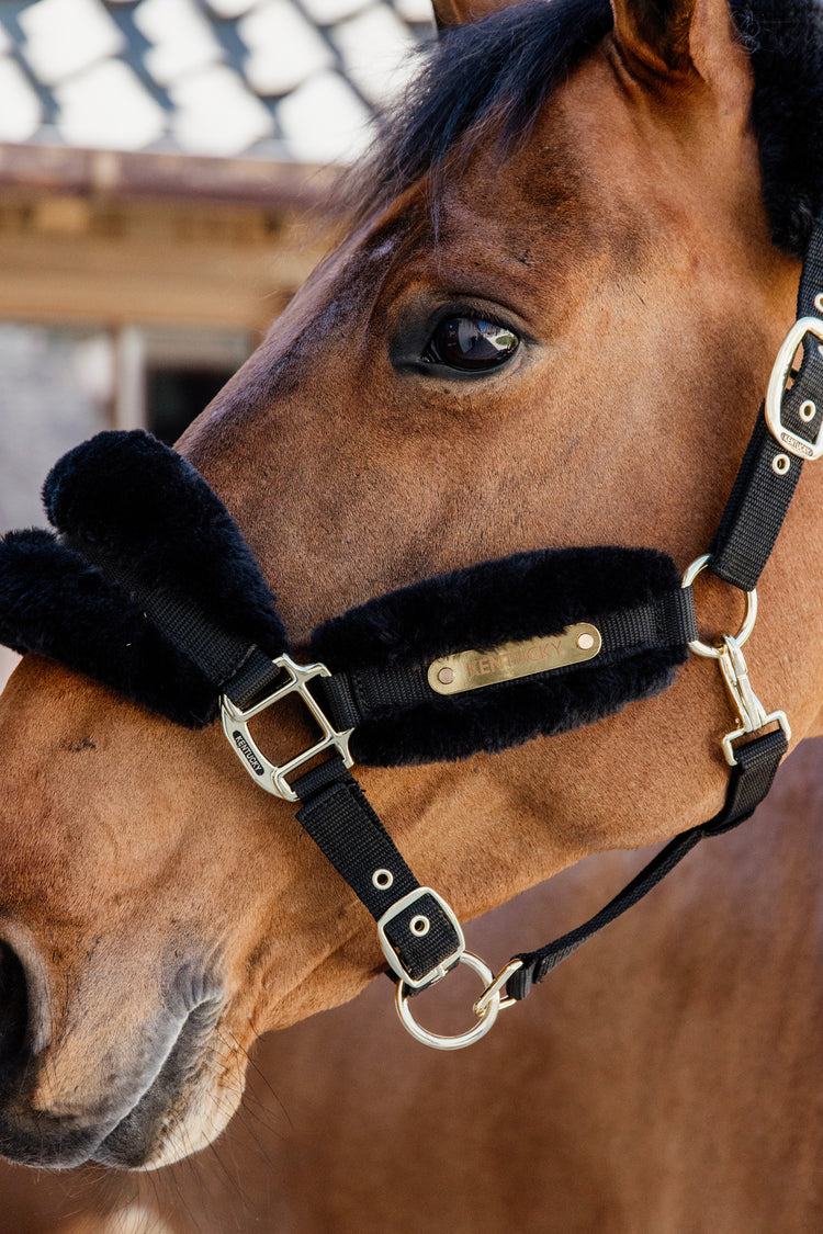 Kentucky Horsewear fur halter
