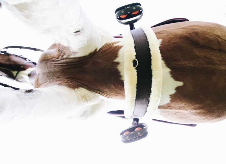 Sheepskin long girth