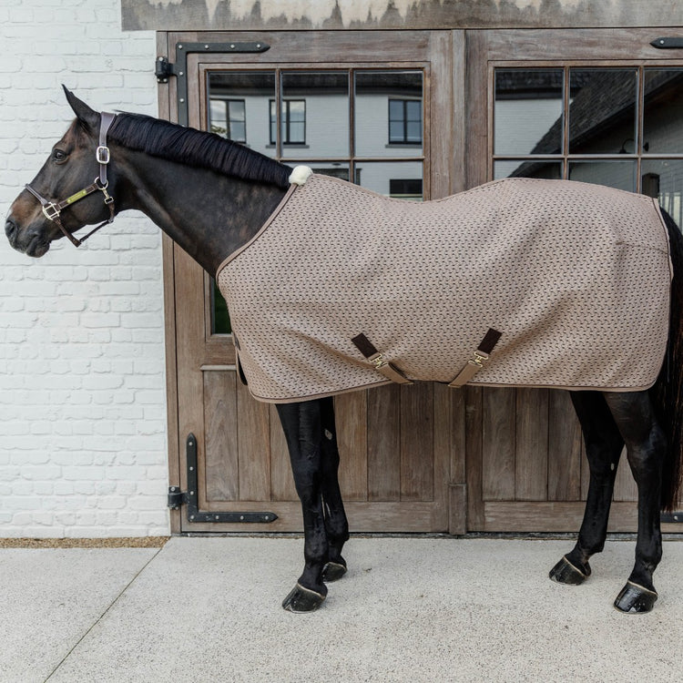 Best summer transport rug for horses