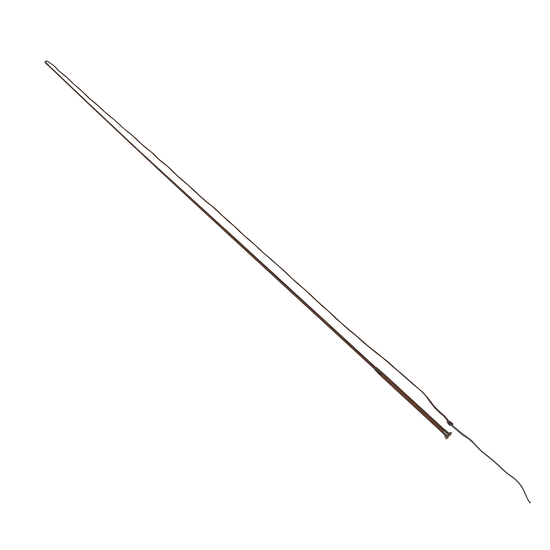 Lunging Whip Control Leather Grip