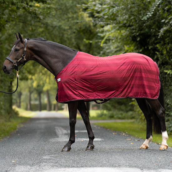 Fly Rug Stripe