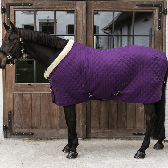 Purple Kentucky Horsewear Rug
