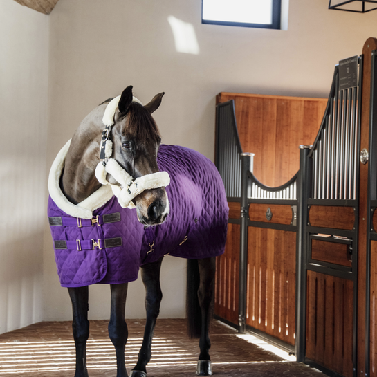 Kentucky Purple Rug