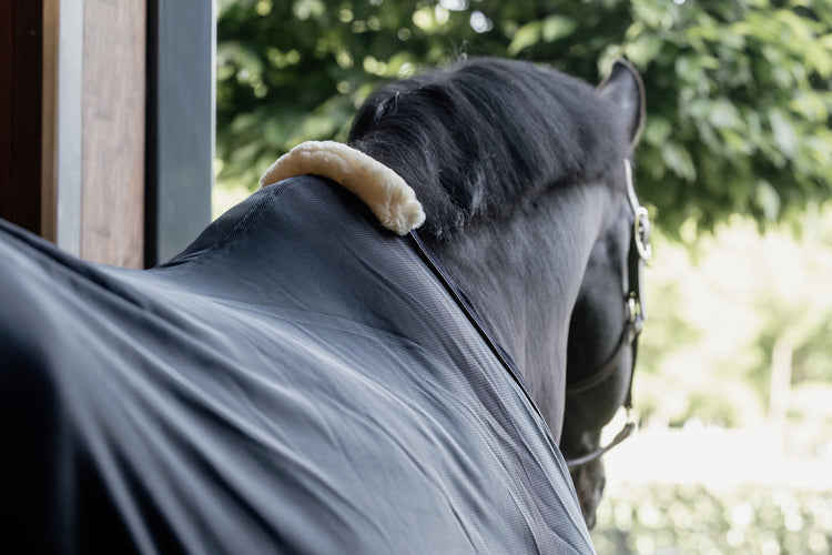 best summer horse rug for transport