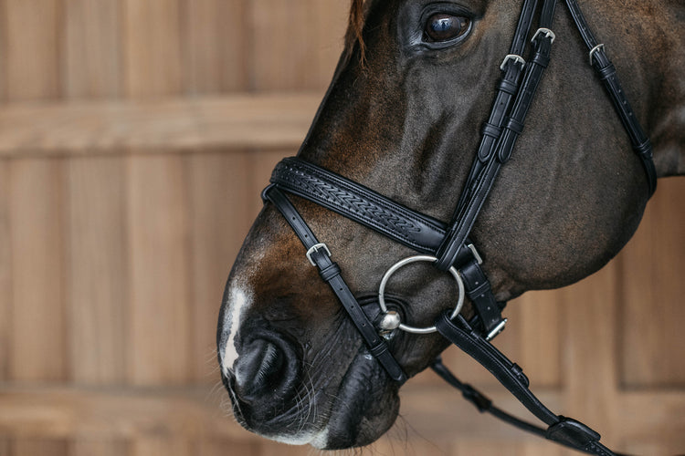 Plaited leather noseband