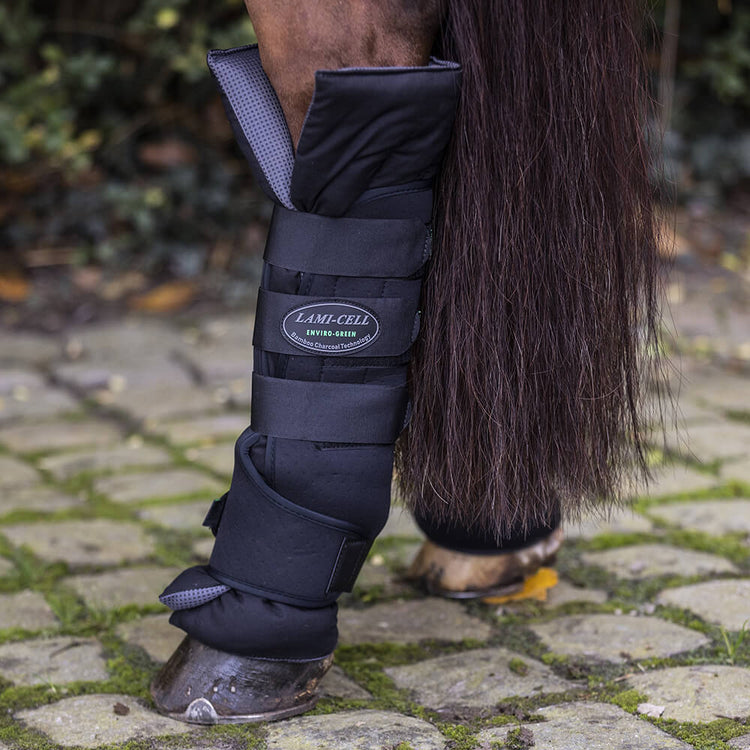 horse leg protection