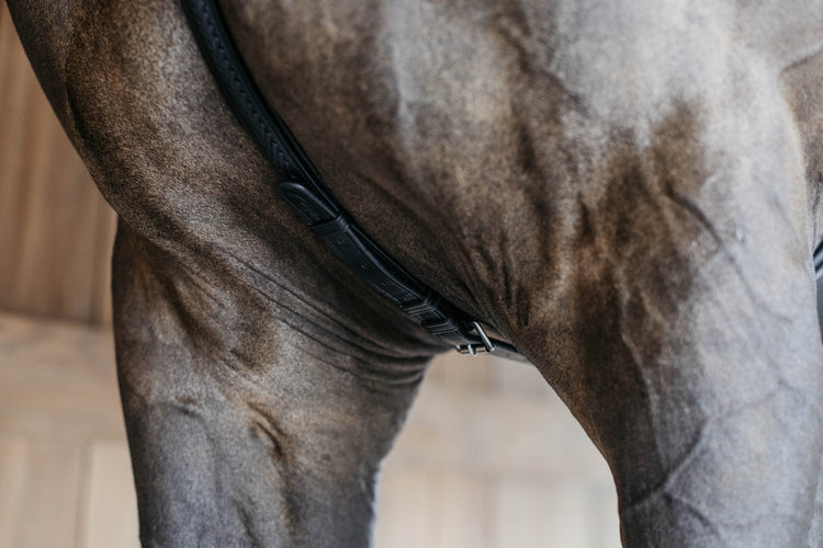 breastplate with attachable martingale