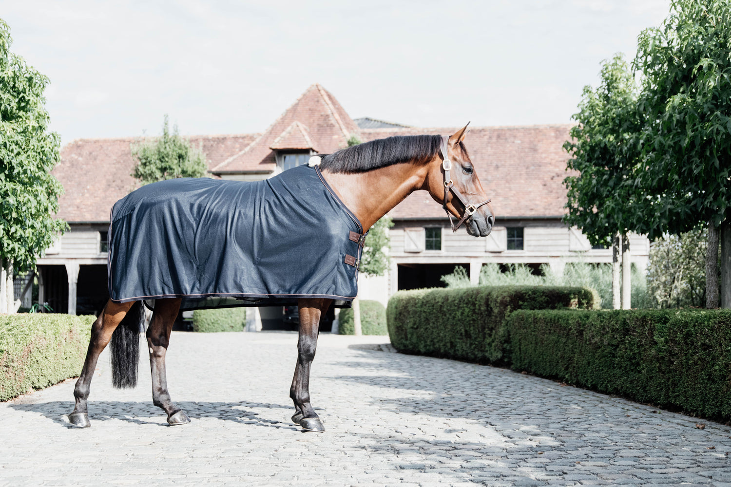 Kentucky Horsewear show fly rug