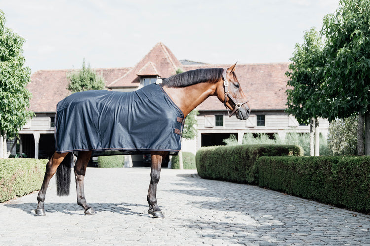 Kentucky Horsewear show fly rug