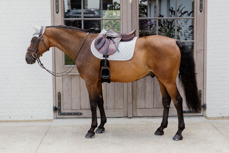 Grey matching saddle blanket and ear bonnet for horses
