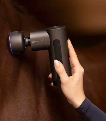 Masseur musculaire efficace pour la récupération du cheval