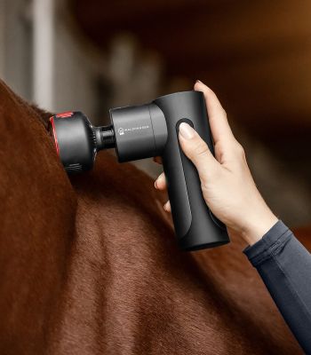 Appareil de massage léger et silencieux pour les muscles du cheval.