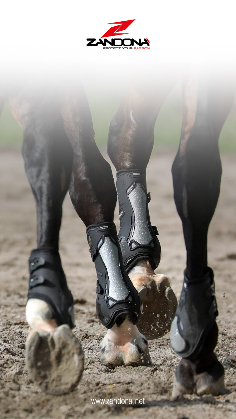 tendon boots with glitter