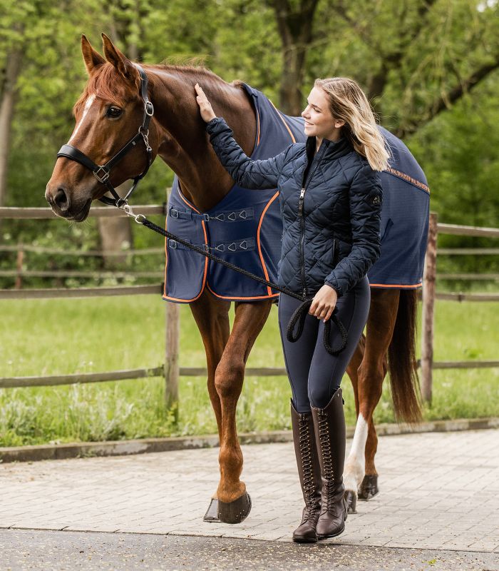 Summer transport rug for horses