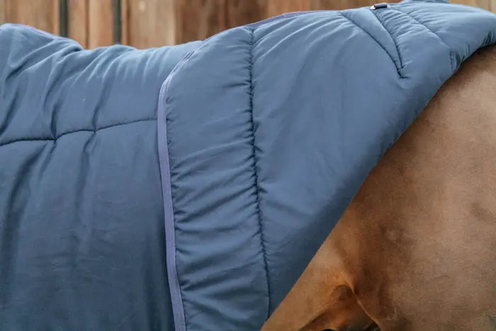 200 gram stable blanket